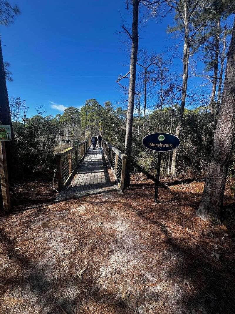 Marshwalk Pier 
