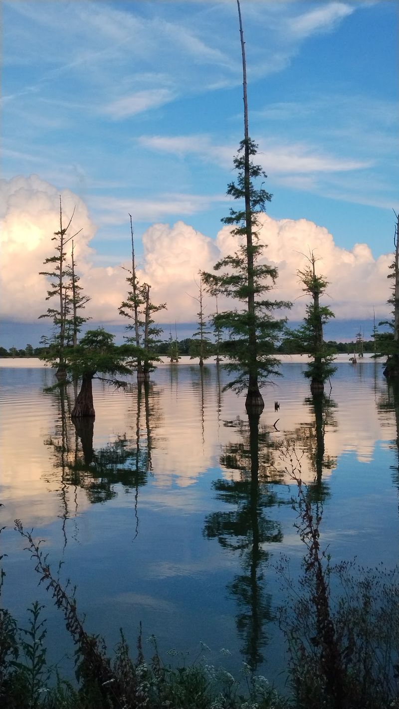 Big Lake National Wildlife Refuge