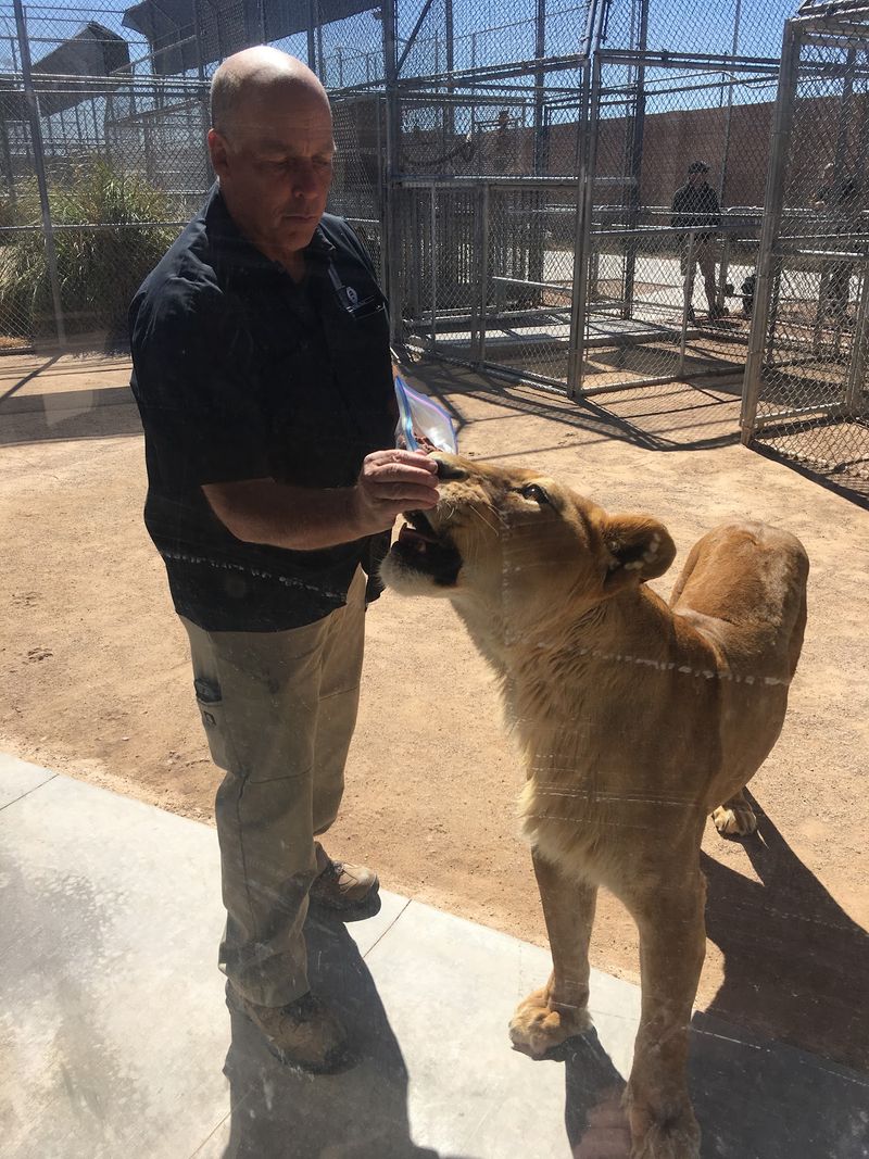 Keepers And Volunteers Who Know Every Name