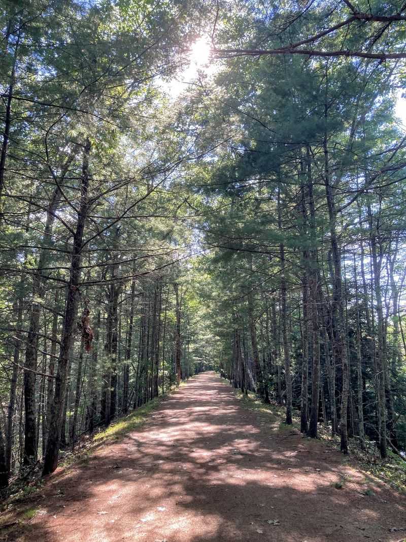 Trails That Actually Deliver