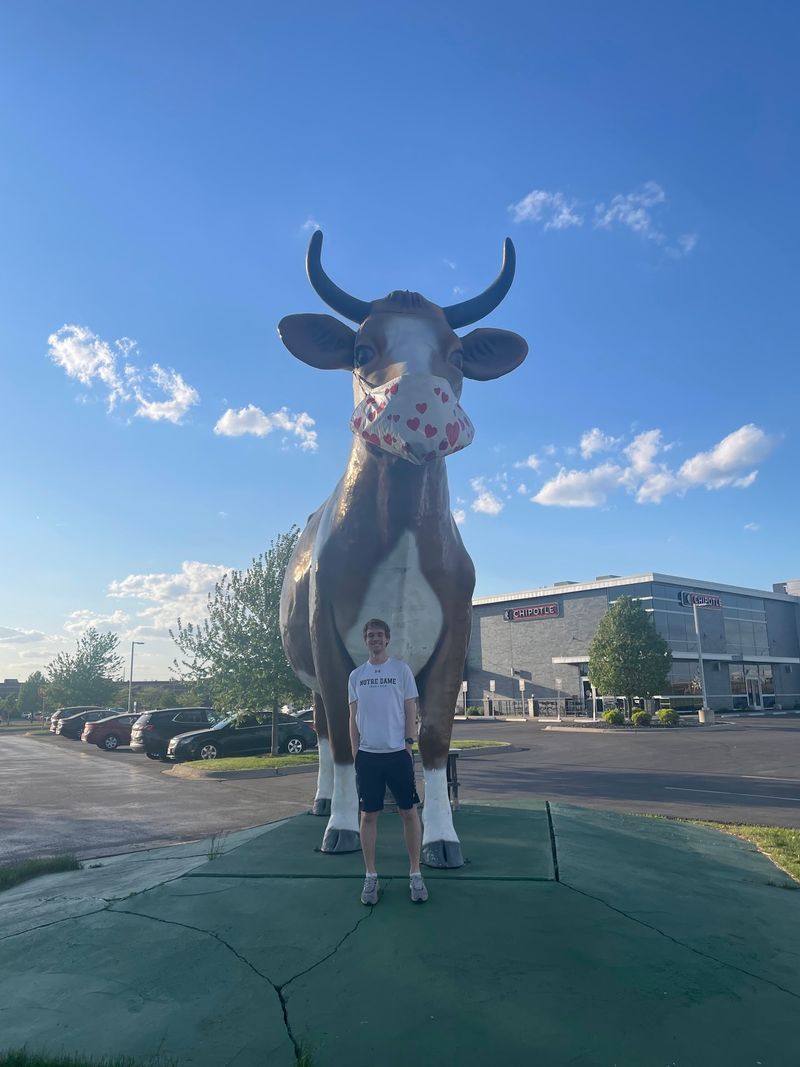 Meet The Giant Fiberglass Cow That Stops Traffic