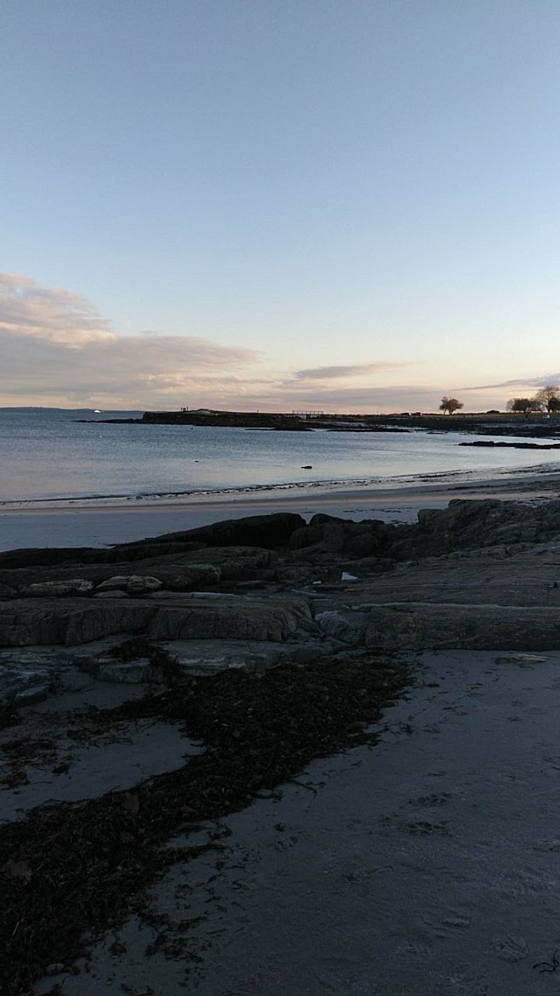 Enjoying Secluded Beach Walks