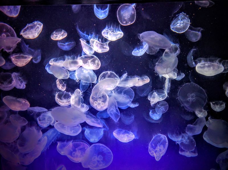 Interactive Exhibits That Engage Visitors
