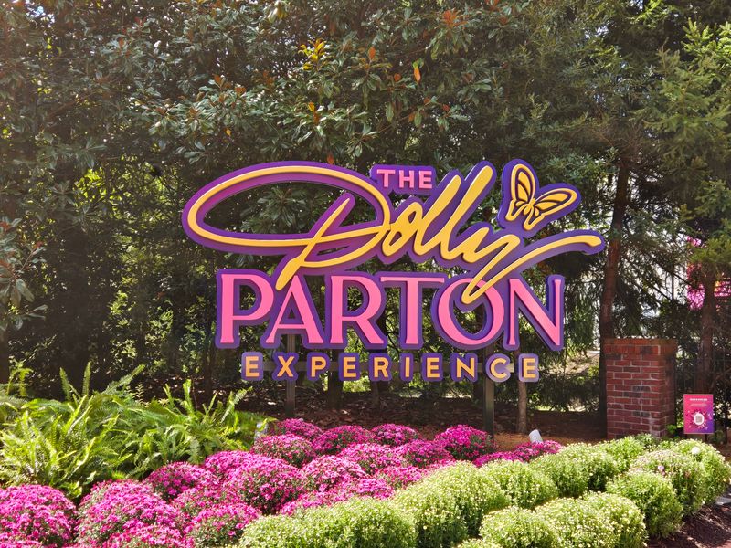 The Dolly Parton Experience