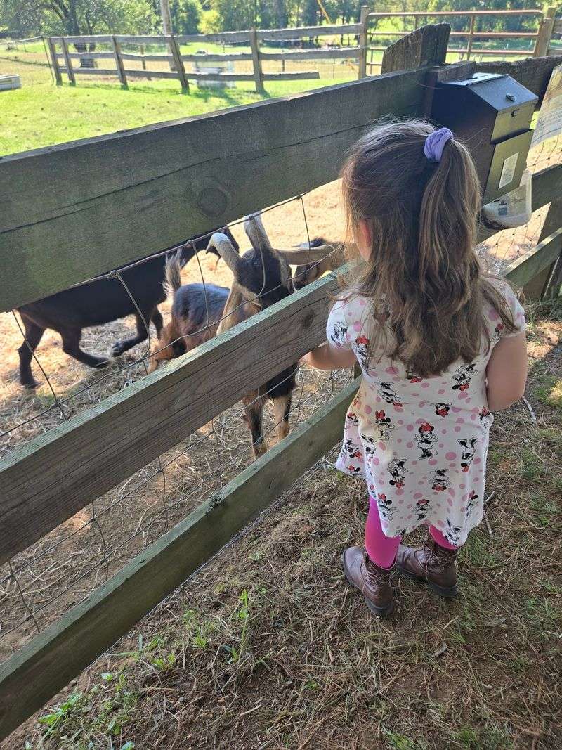 How To Hand-Feed The Animals Safely And Respectfully