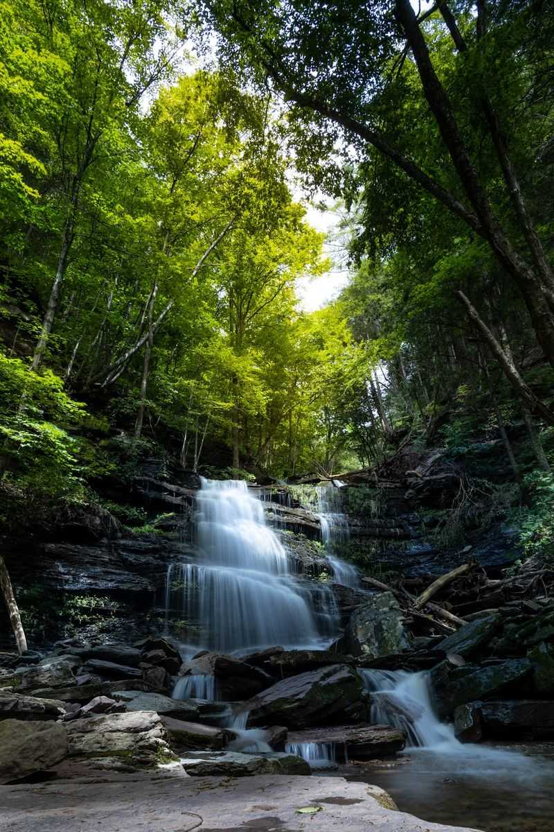Waterfalls Tumbling Beside Little Four-Mile Run