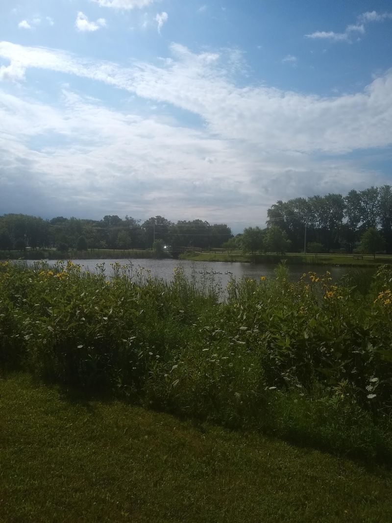 Parks And Green Space Around Every Corner