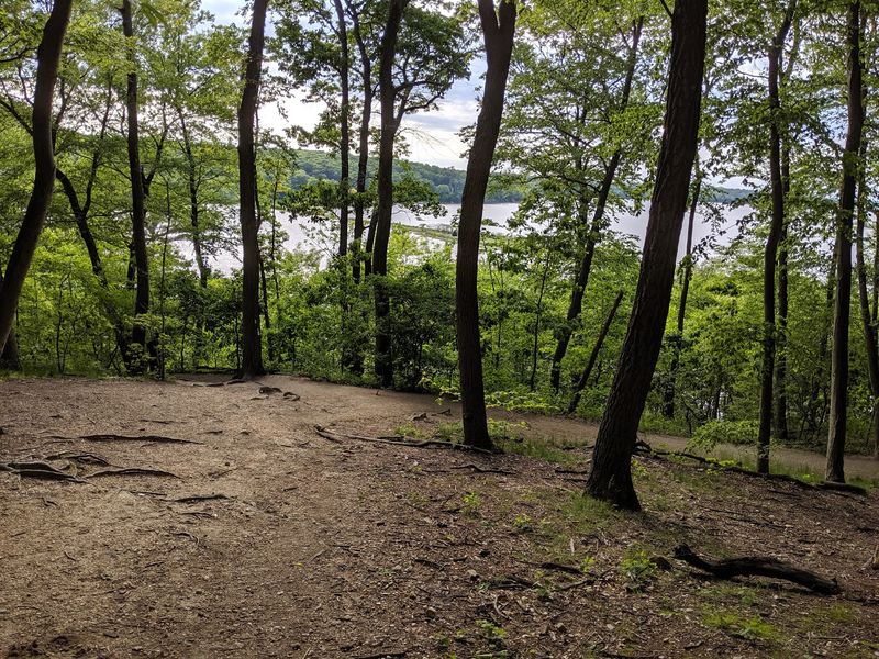 Cold Spring Harbor State Park - Cold Spring Harbor