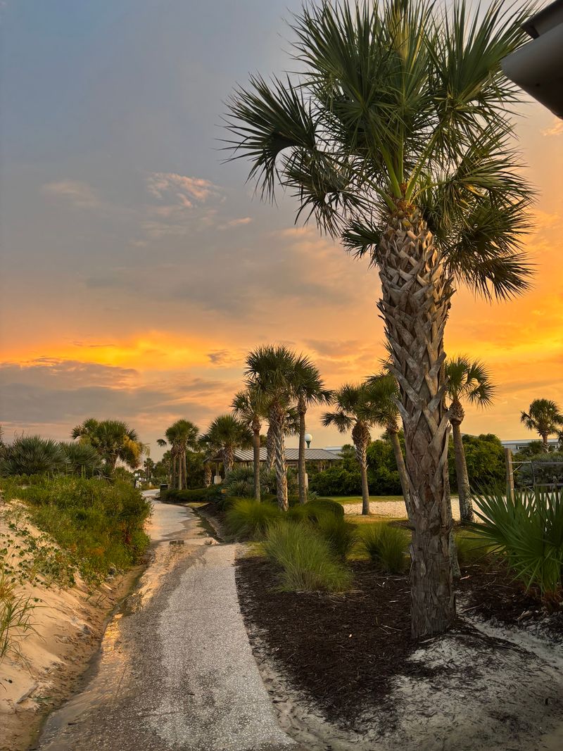 Great Dunes Beach Park, Jekyll Island