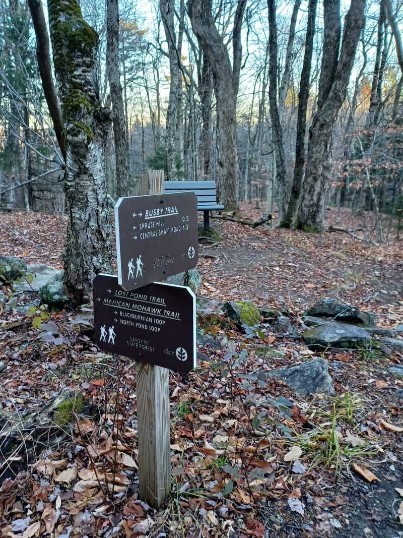 Busby Trail To Spruce Hill, Florida