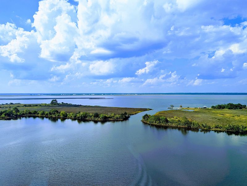 Environmental Concerns And Conservation Efforts