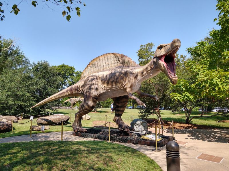 Live Wildlife And Nature Trails Beyond The Exhibit Halls