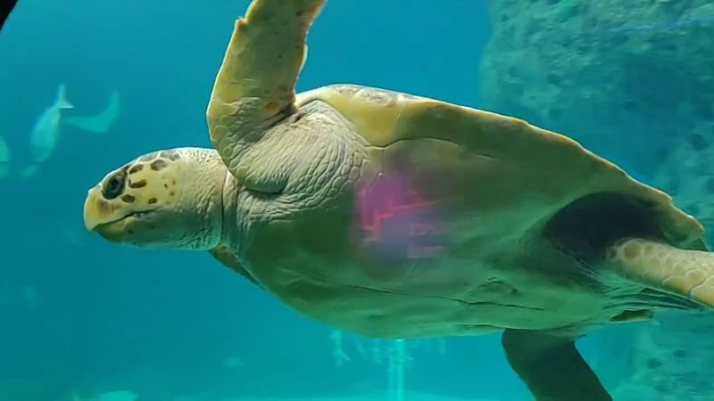 Behind The Scenes Tours And Animal Care