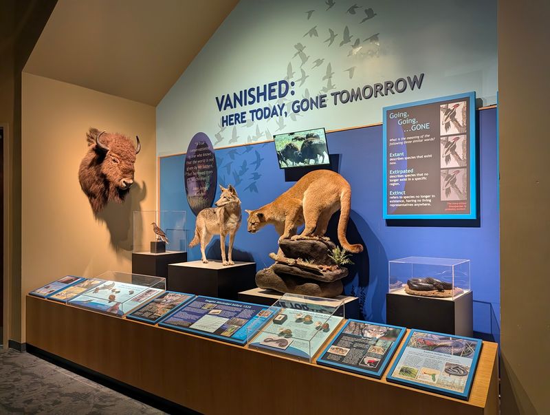 Conservation Efforts To Protect Wonders