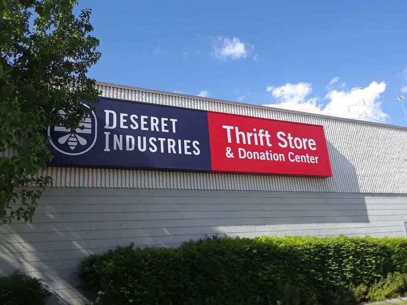 The Outdoor Yard Section Surprises Every Time