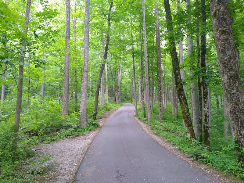 Roaring Fork Motor Nature Trail