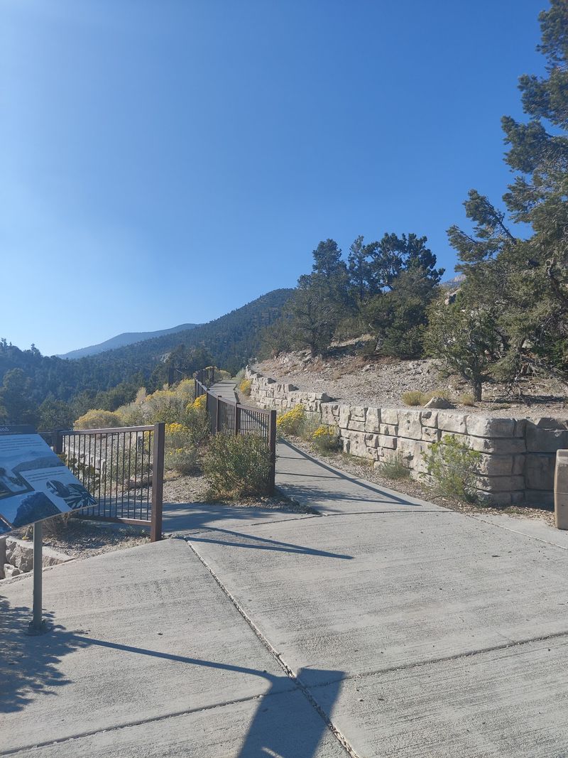 Daytime Trails Worth Adding To The Plan