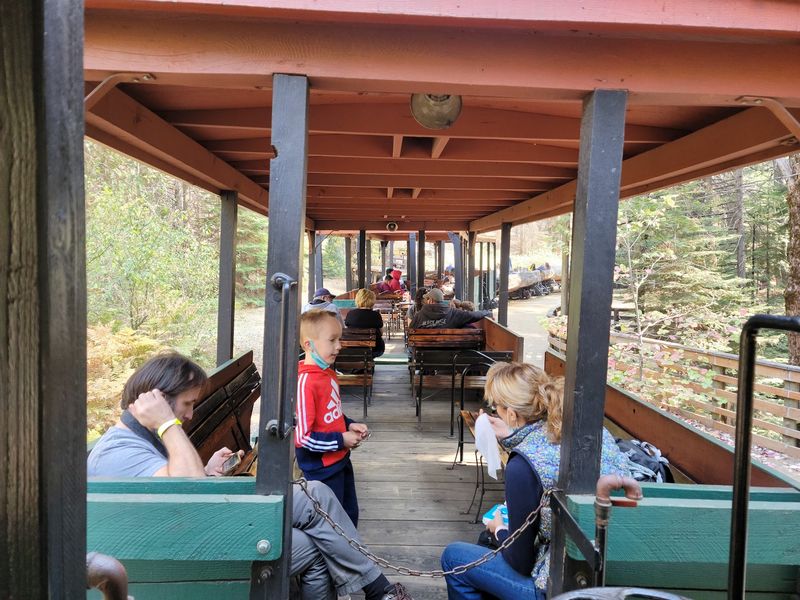 Visitor Amenities And Onboard Services