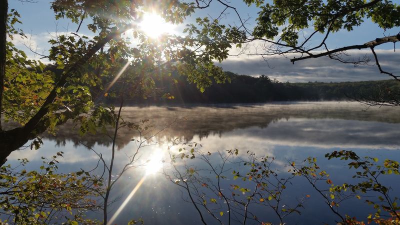 Quiet Exploration Without Crowds