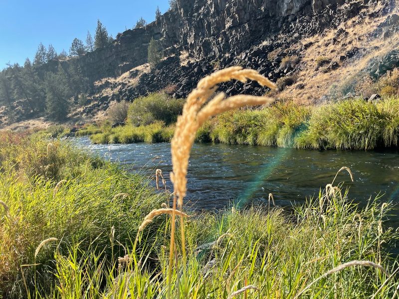 More Than Just A Swim