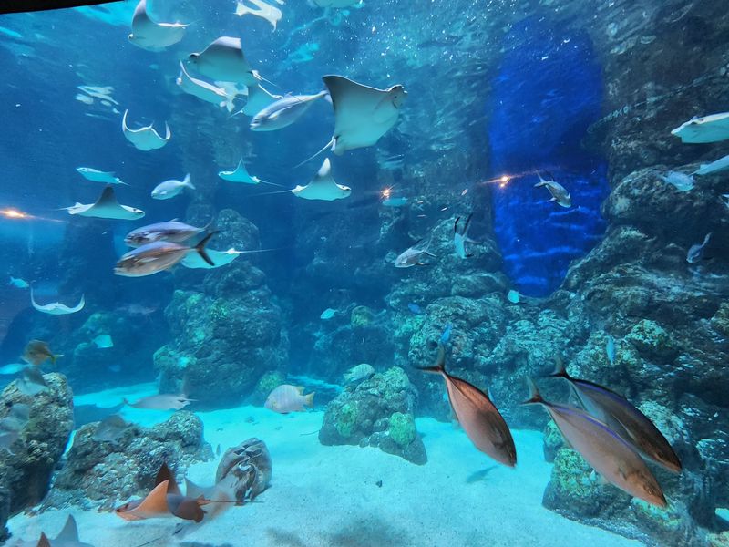 Creative Use Of Technology To Simulate Ocean Depths