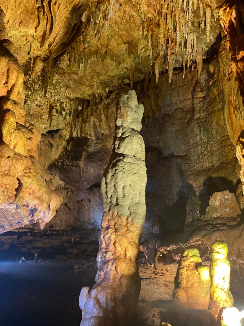 Pet-Friendly Underground Adventure