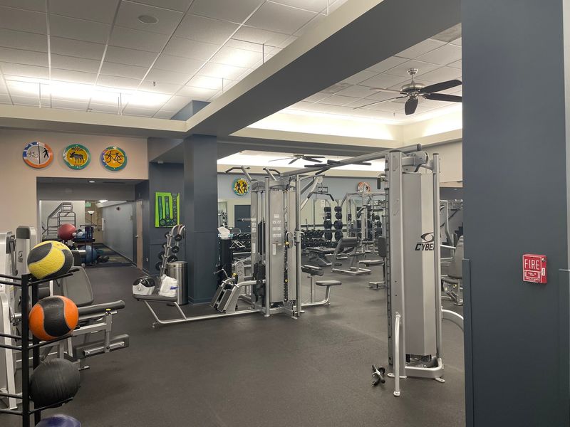 Modern Equipment And Workout Spaces