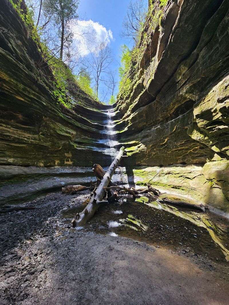 Winter Ice Falls And Eagle Watching Season