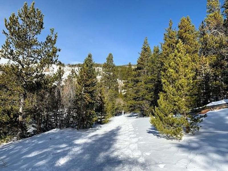 Winter And Snowshoe Adventures