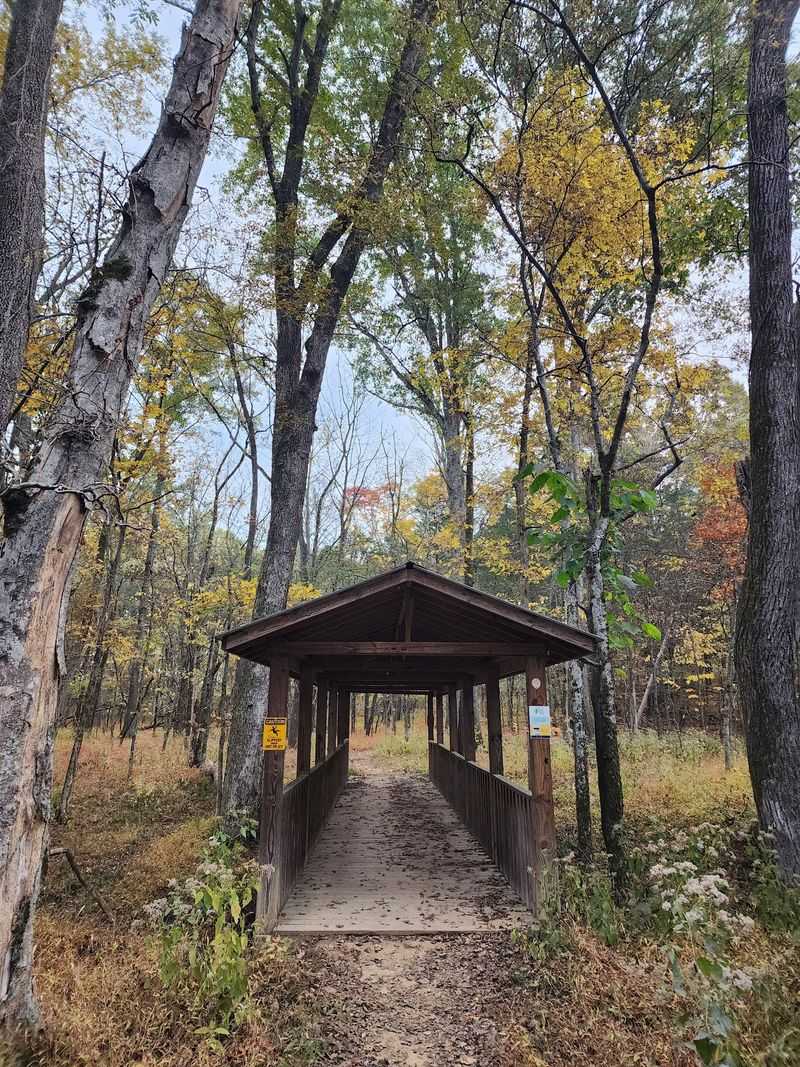 Bledsoe Creek State Park, Gallatin
