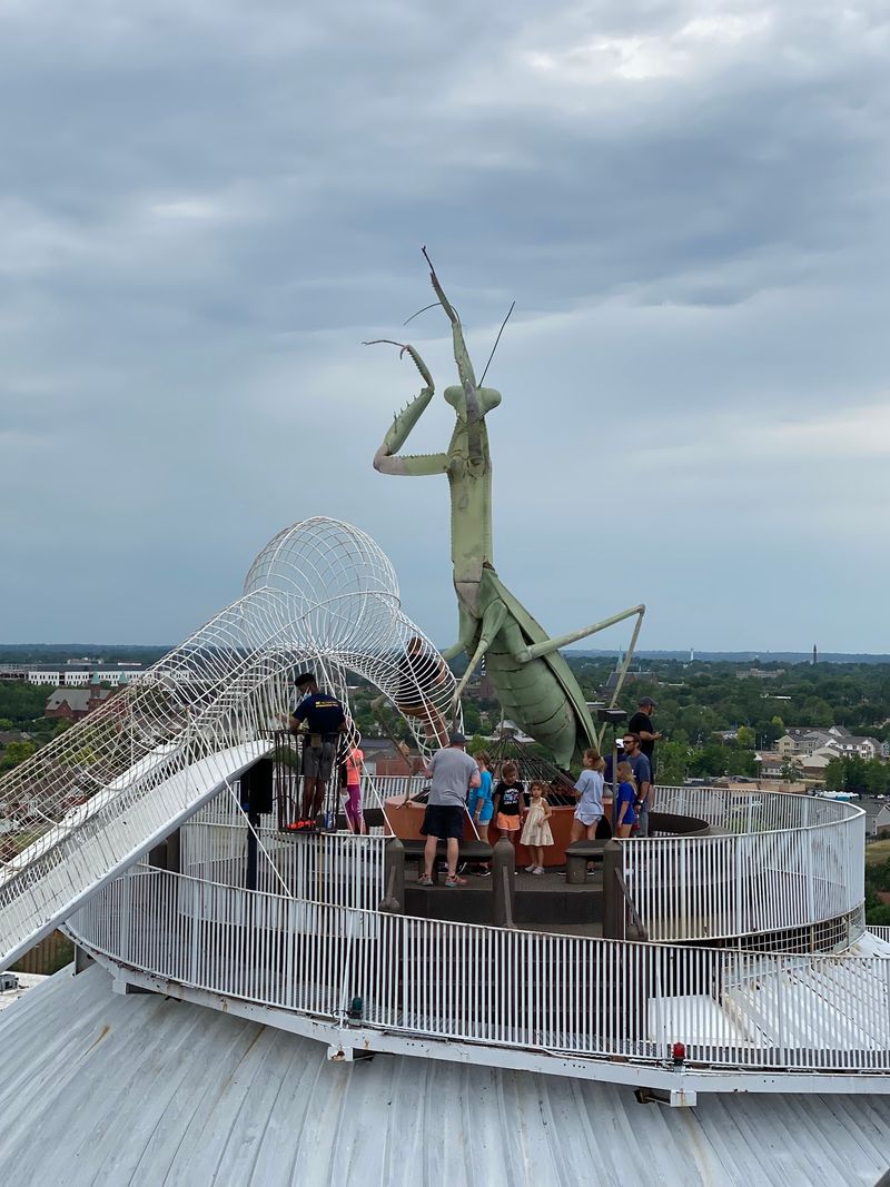 Impact On Local Culture And Community