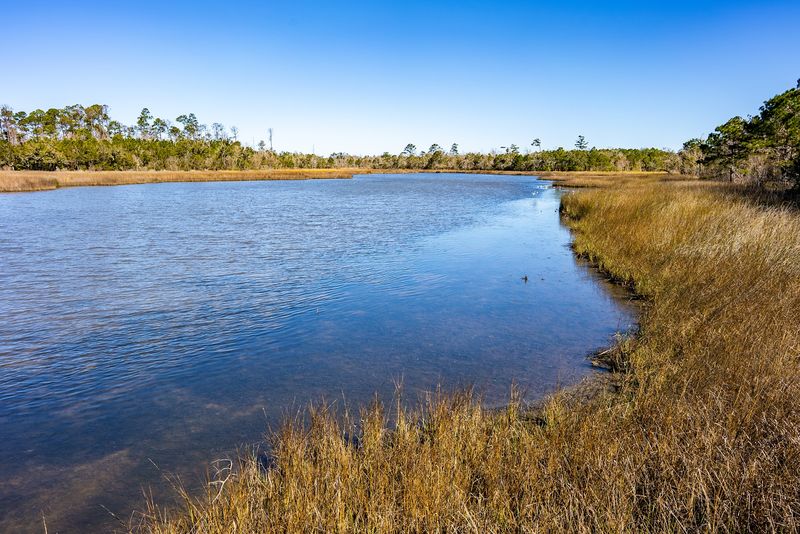 Interactive Nature Programs And Workshops