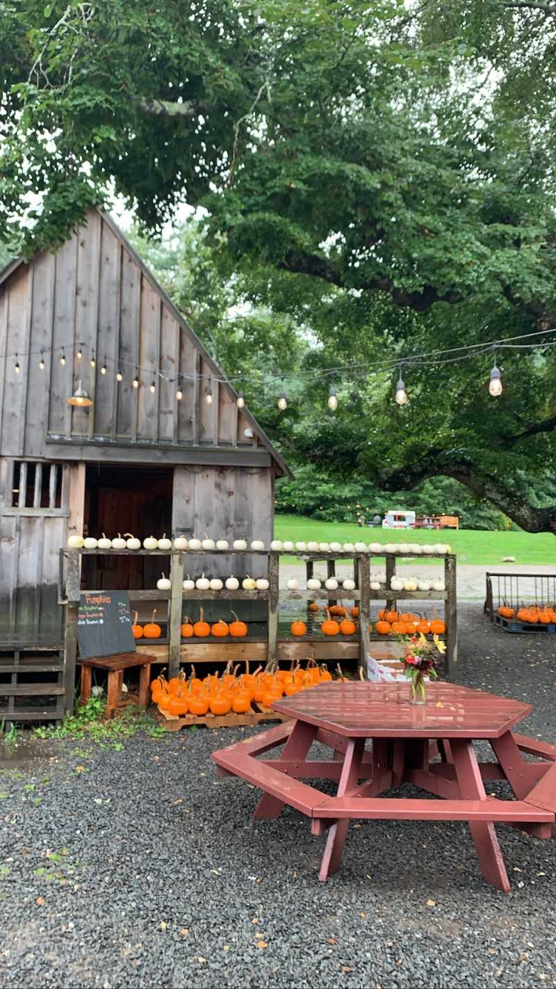 Picnic Tables Under Shady Trees