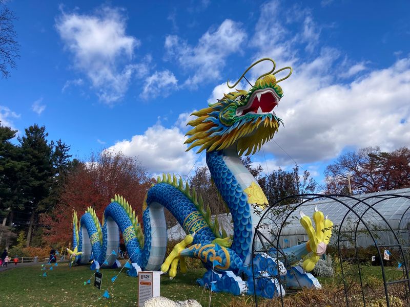 Rides, Picnics, And Cafe Bites