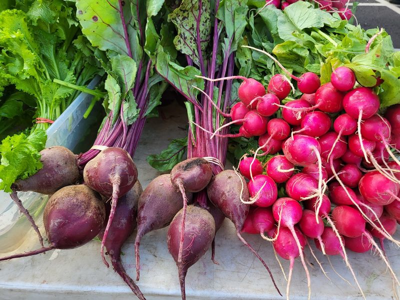 New Canaan Farmers Market