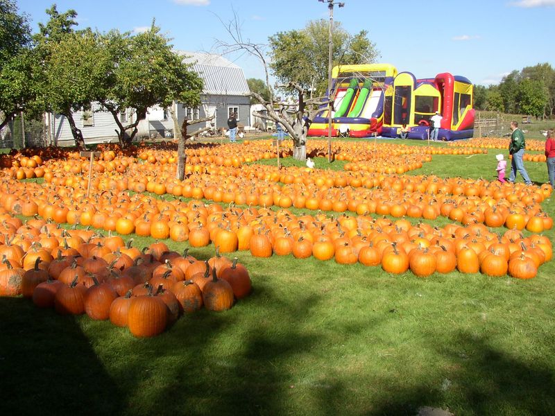 Meadowbrook Pumpkin Farm & Market Delivers A Full Day Of Autumn In West Bend