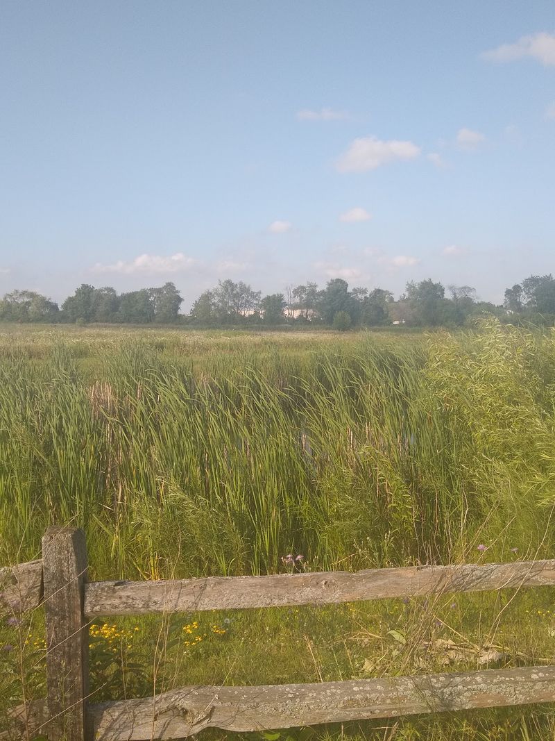 Why This Peaceful Village Sticks With You