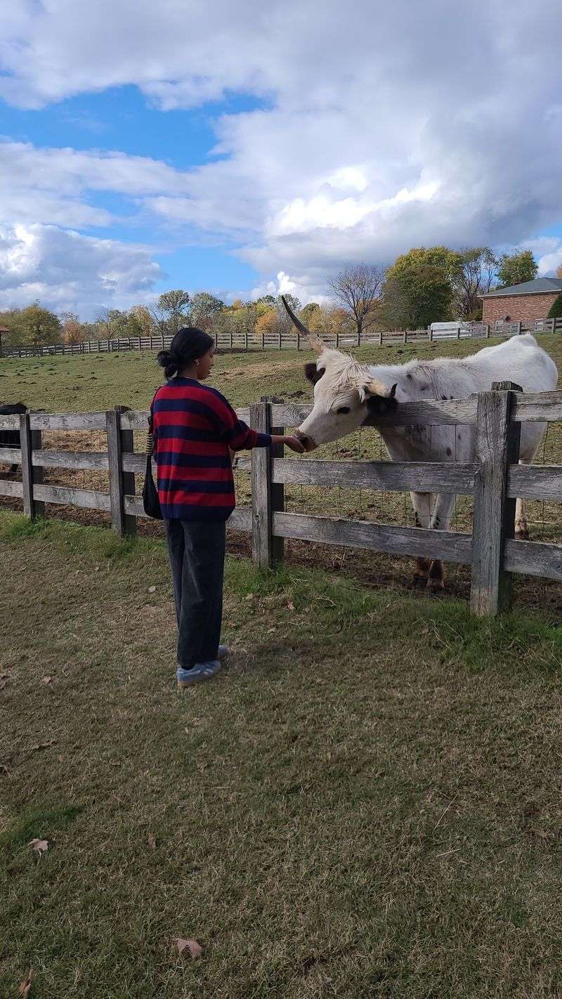 Ways To Visit, Support The Rescue, And Lend A Hand