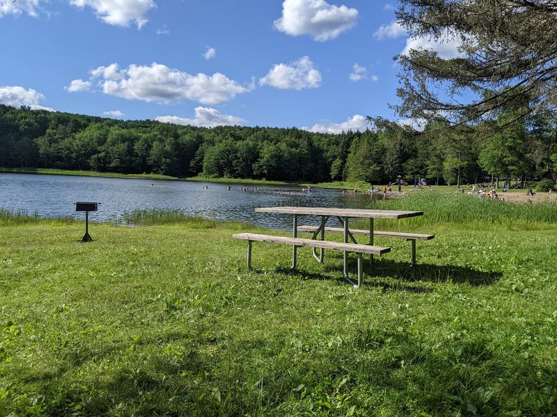 Bowman Lake State Park Cabins - Oxford, NY