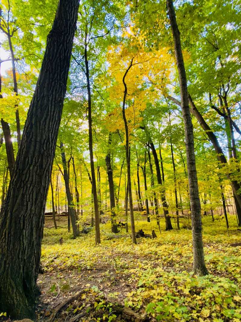 Seasonal Changes Worth Returning For