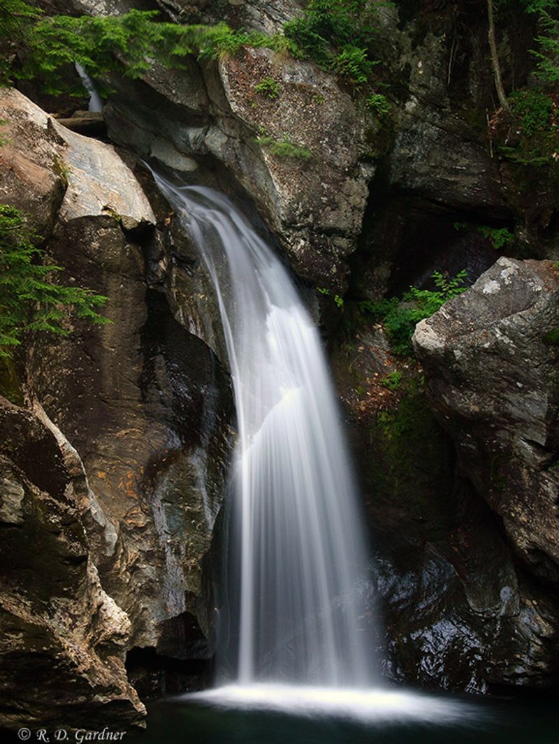 A Half-Mile Walk That Feels Twice As Wild