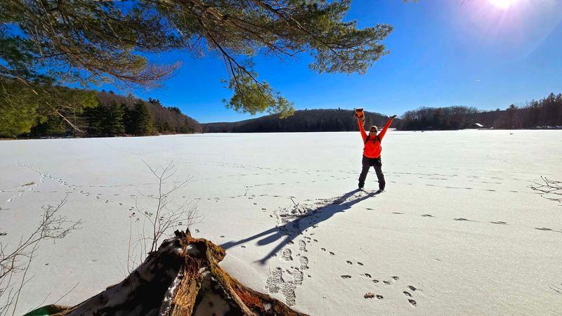Wildlife, Laurel Blooms, And Winter Snow