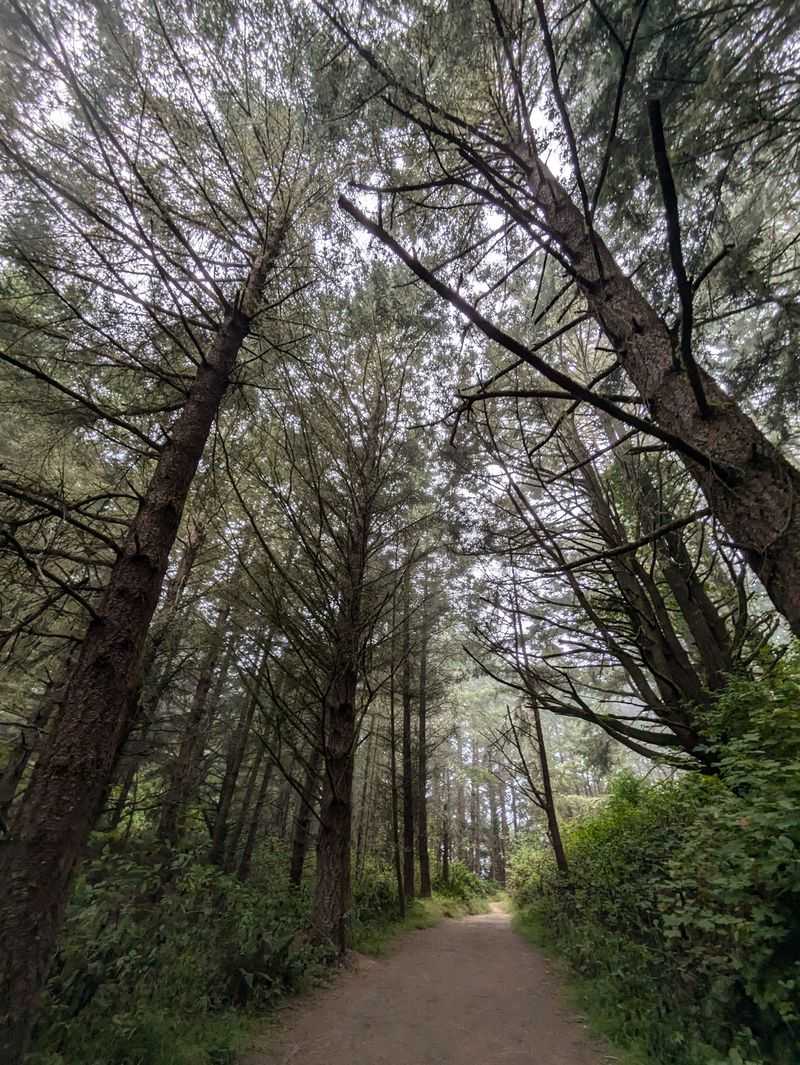 The Trail Starts Here