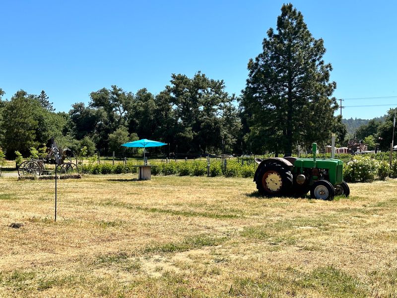 Climb Aboard The Hay Ride And Tractor Loop