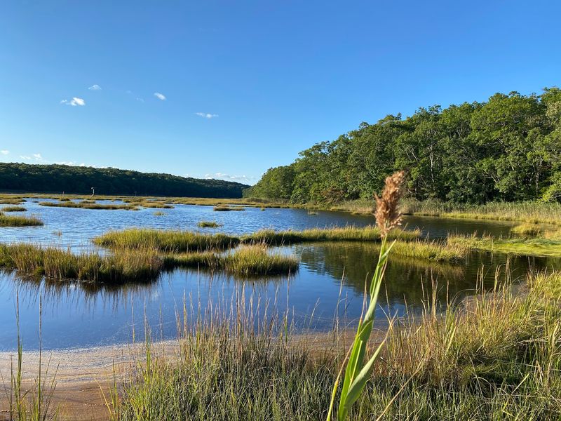 A Birdwatcher's Coastal Playground