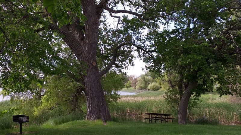 Seasonal Birdwatching Highlights In The Nebraska Lake Area