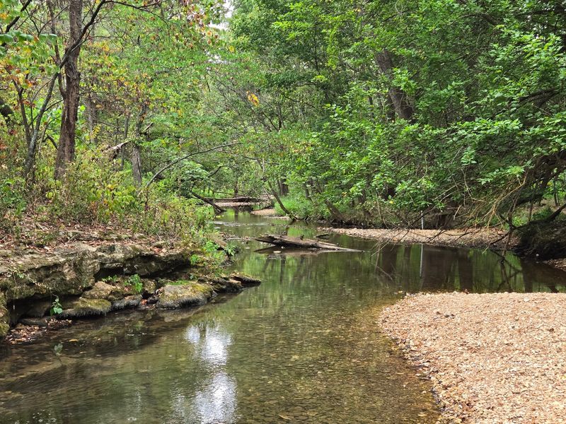 Wildlife And Plant Species Around The Lake