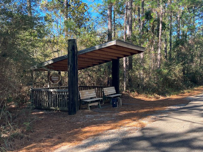 Horses, Hikers, And The Ronnie Shows Nature Center