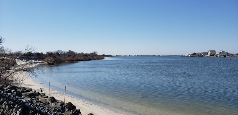 Wildlife And Wildflowers Along The Barrier Island