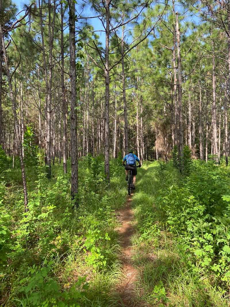 Packing Smart For Two Days Outdoors